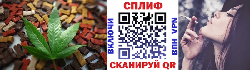 купить  сайты  Светлогорск  Cannafood марихуана 