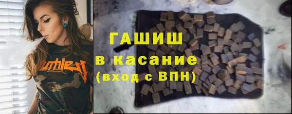 ГАЛЛЮЦИНОГЕННЫЕ ГРИБЫ Дмитриев