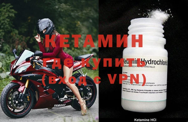 ГАЛЛЮЦИНОГЕННЫЕ ГРИБЫ Дмитриев