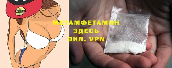 ГАЛЛЮЦИНОГЕННЫЕ ГРИБЫ Дмитриев