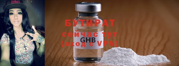 ГАЛЛЮЦИНОГЕННЫЕ ГРИБЫ Дмитриев