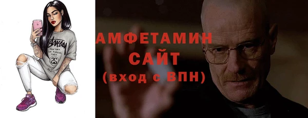 ГАЛЛЮЦИНОГЕННЫЕ ГРИБЫ Дмитриев