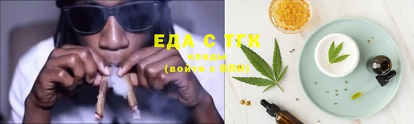 СК Ельня