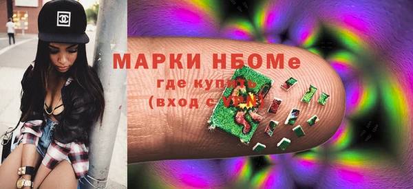 СК Ельня