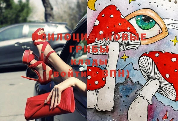 ГАЛЛЮЦИНОГЕННЫЕ ГРИБЫ Дмитриев