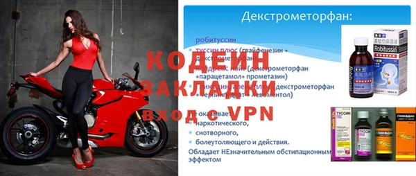 ГАЛЛЮЦИНОГЕННЫЕ ГРИБЫ Дмитриев