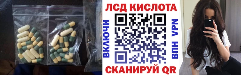 где найти Светлогорск shop телеграм LSD-25 экстази ecstasy
