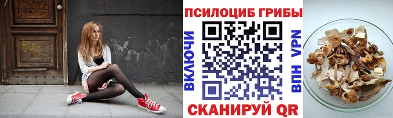 Галлюциногенные грибы мицелий  Светлогорск 